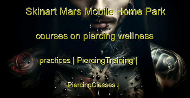Skinart Mars Mobile Home Park courses on piercing wellness practices | PiercingTraining | PiercingClasses | SkinartTraining-United States